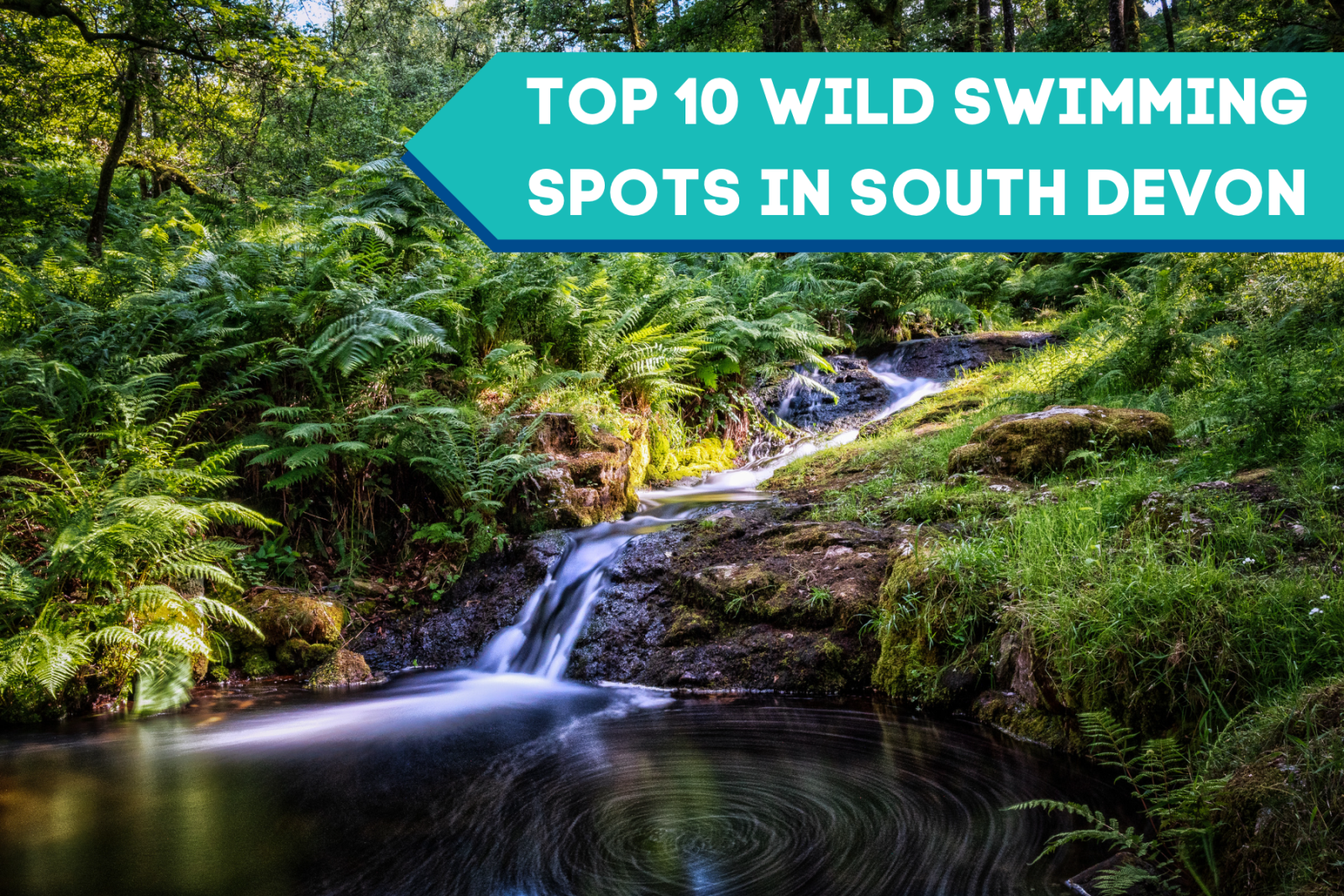 wild swimming in south devon